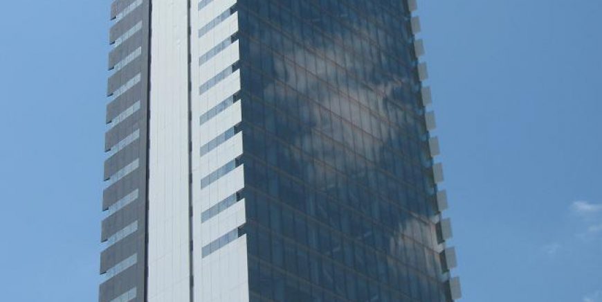 Teleskobik Bumlu Makine (Scopemaster)